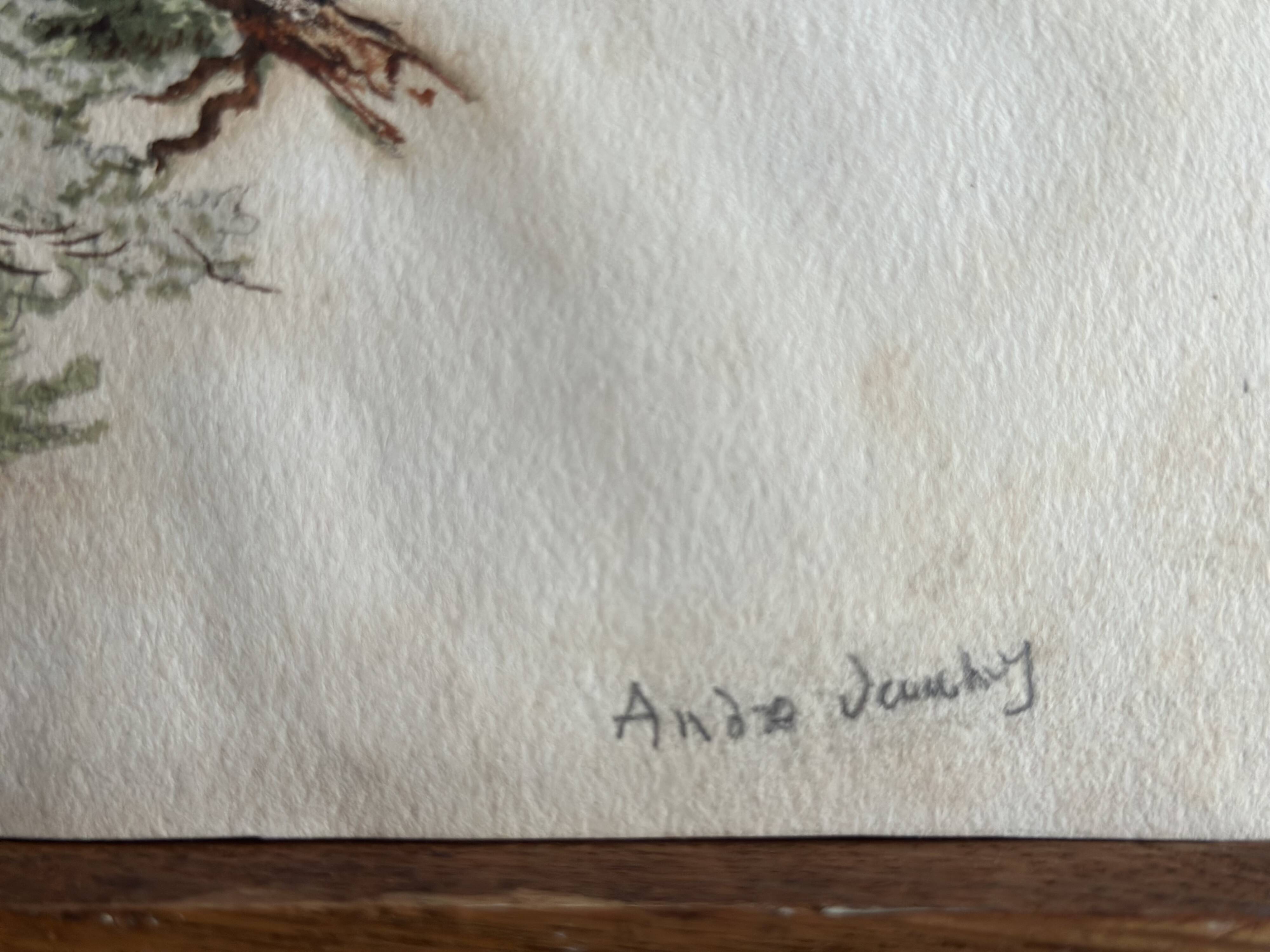 Old watercolour of a tree, botanical study signed, mid-20th century.