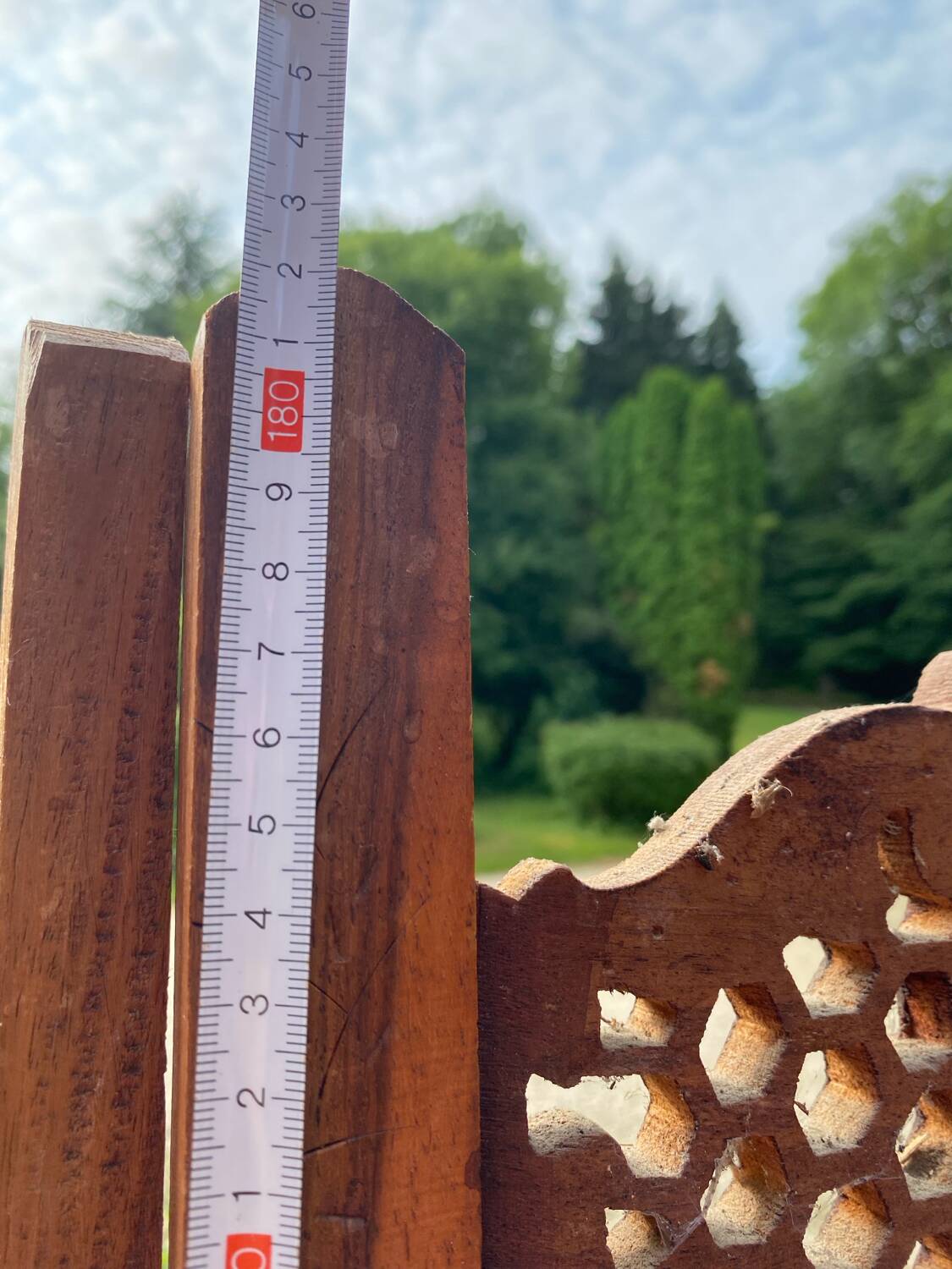 Solid mango wood screen