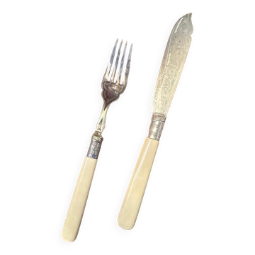 Fish service in its case