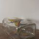 Carafe pichet vintage verre casanis le pastis