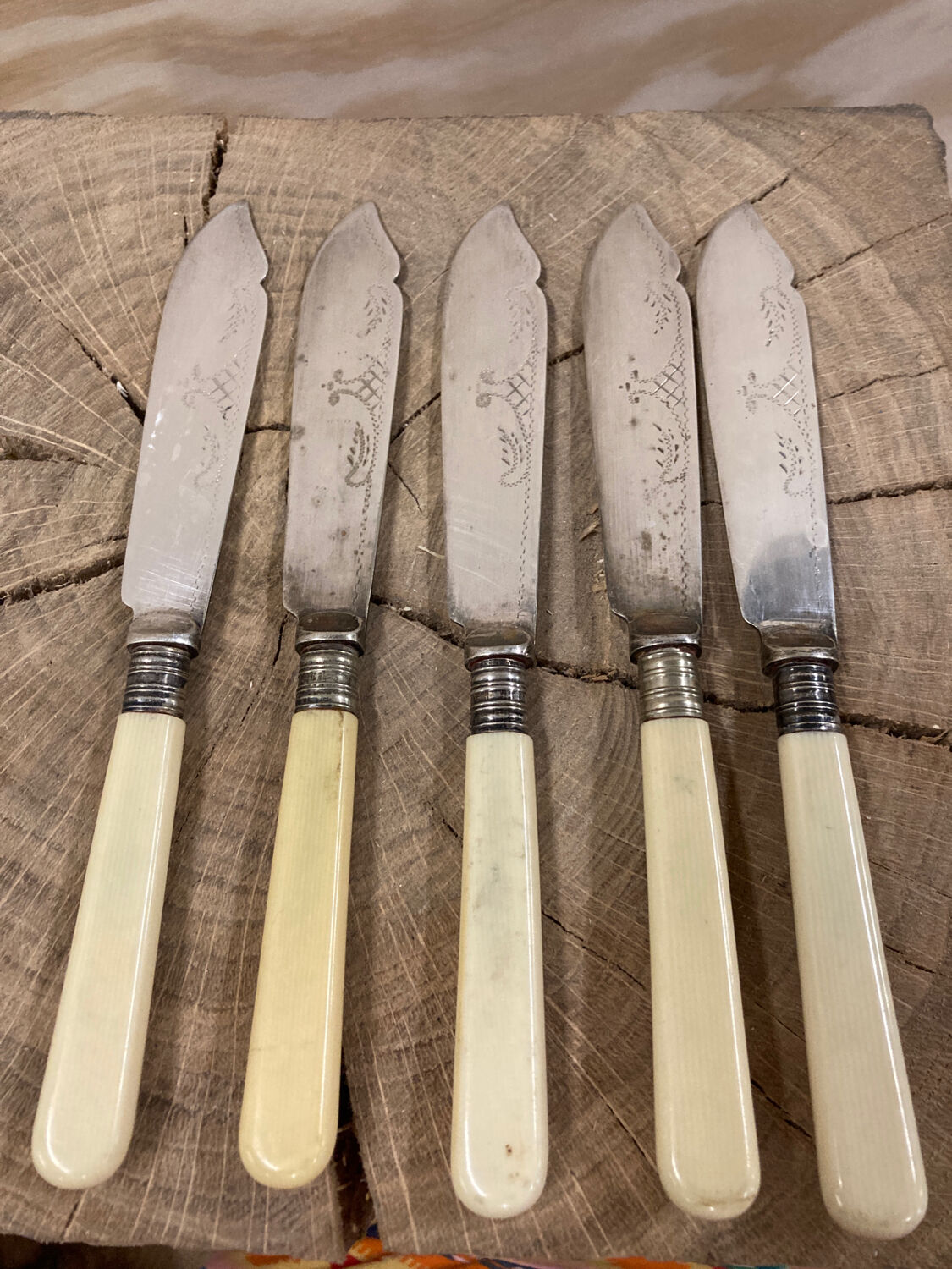 5 English fish knives in silver metal and Bakelite