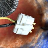 Glass paste suspension GV from Croismare