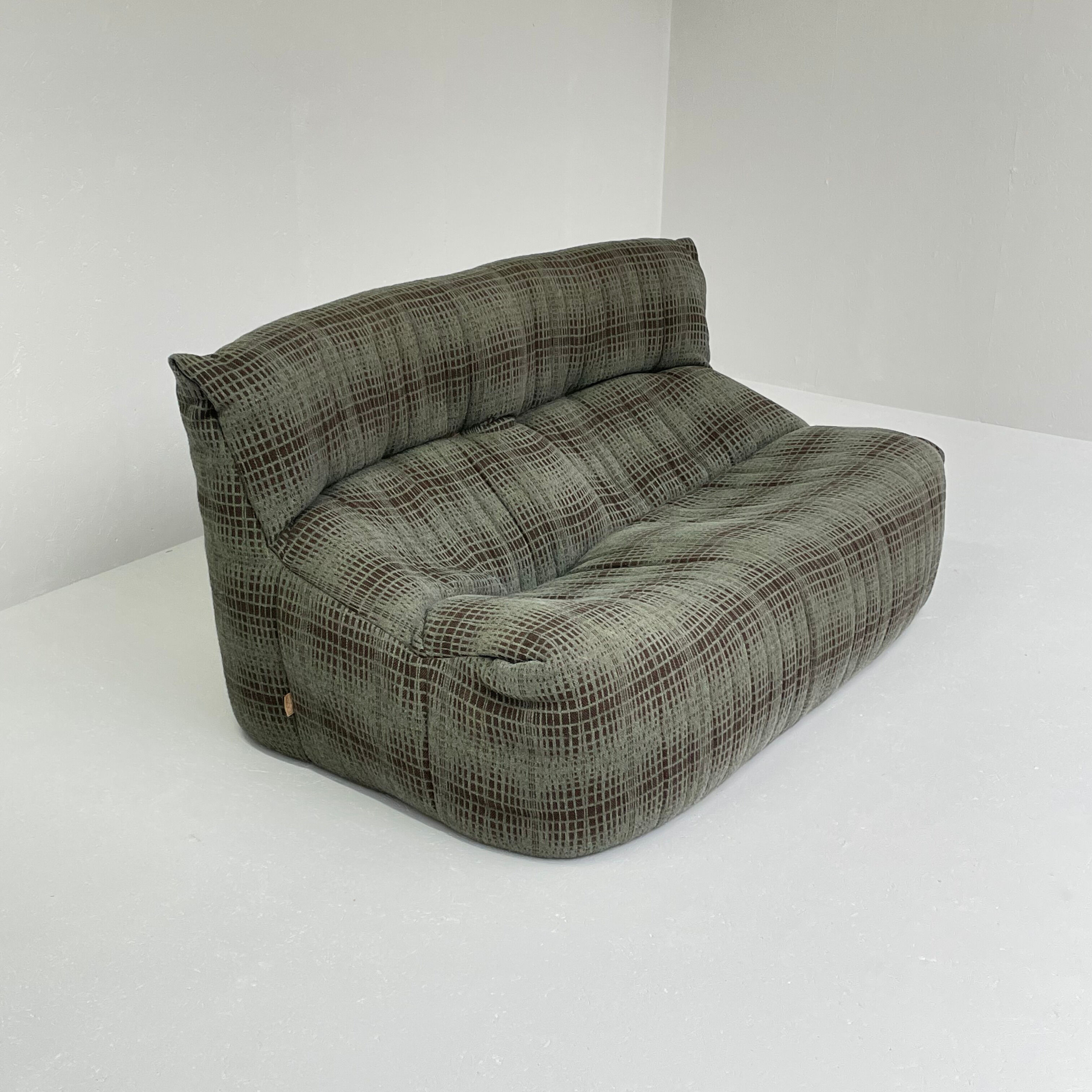 Aralia 2 seater sofa by Michel Ducaroy for Ligne Roset
