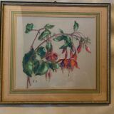 Old pastel Fuchsias framed