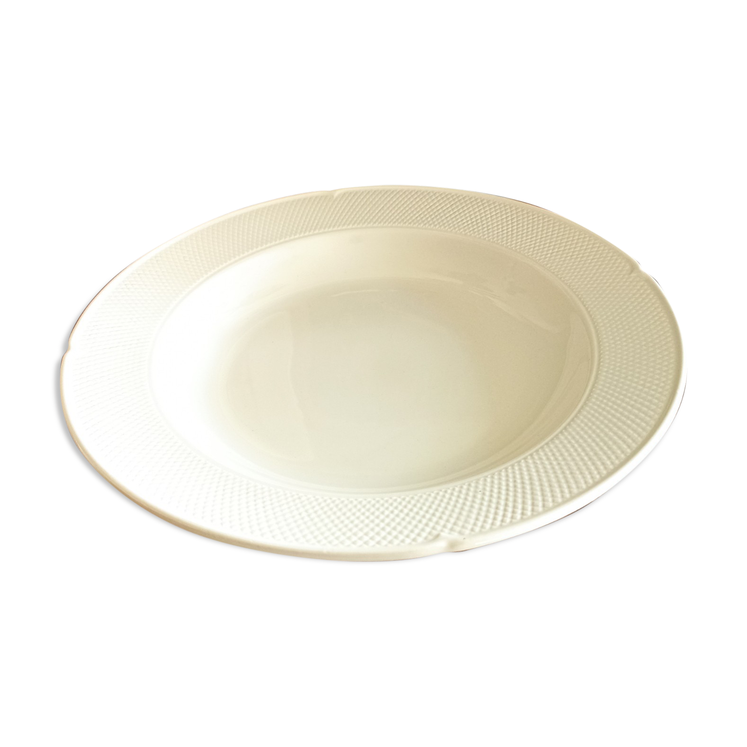Salins Dish - Chinon Model