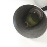 Hanging monte fall 1970 vintage