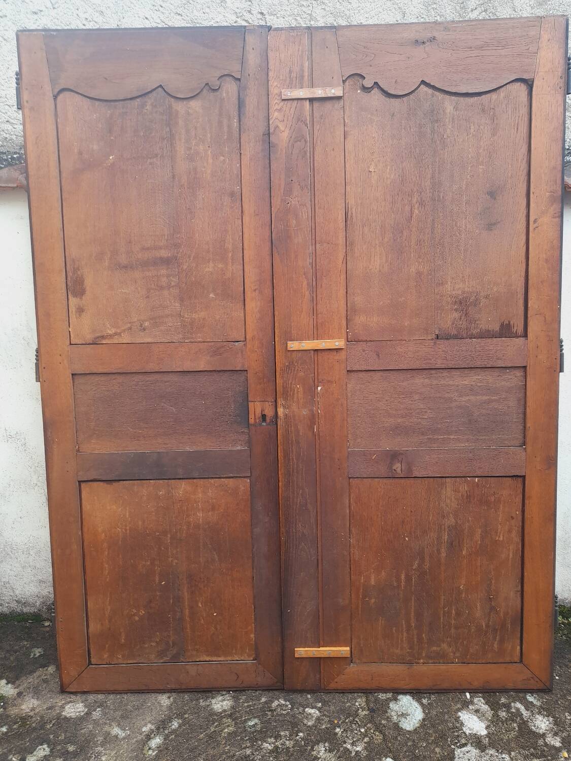 Pair of carved oak cabinet doors