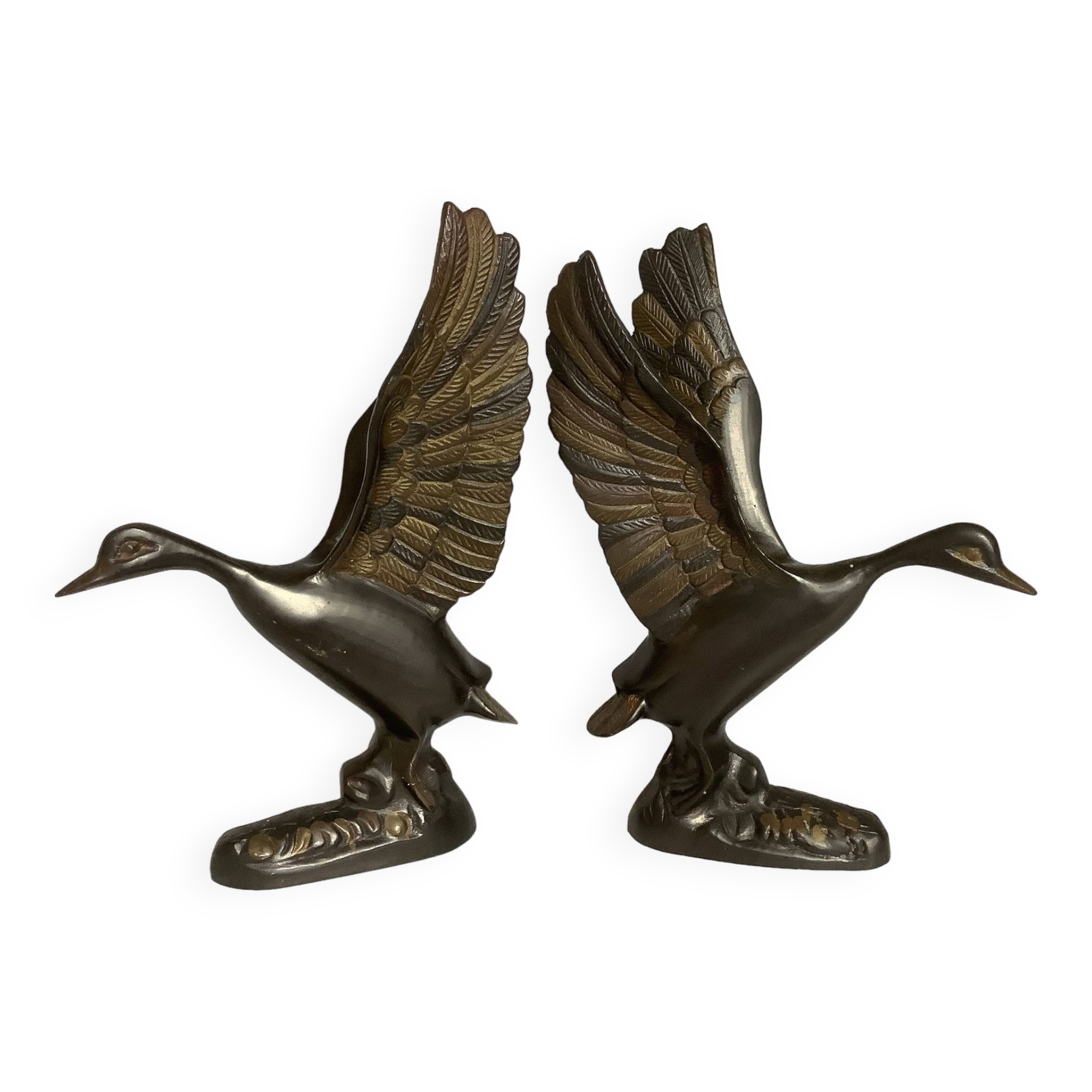 Pair of two-tone brass bird bookends