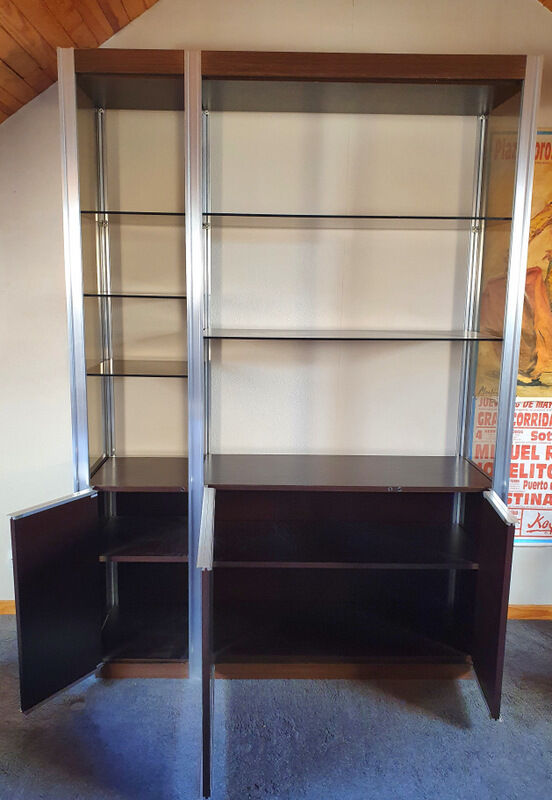 Ligne Roset Wengé bookcase and 80's smoked glass