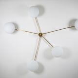 Lustre Starfish Stella Collection
