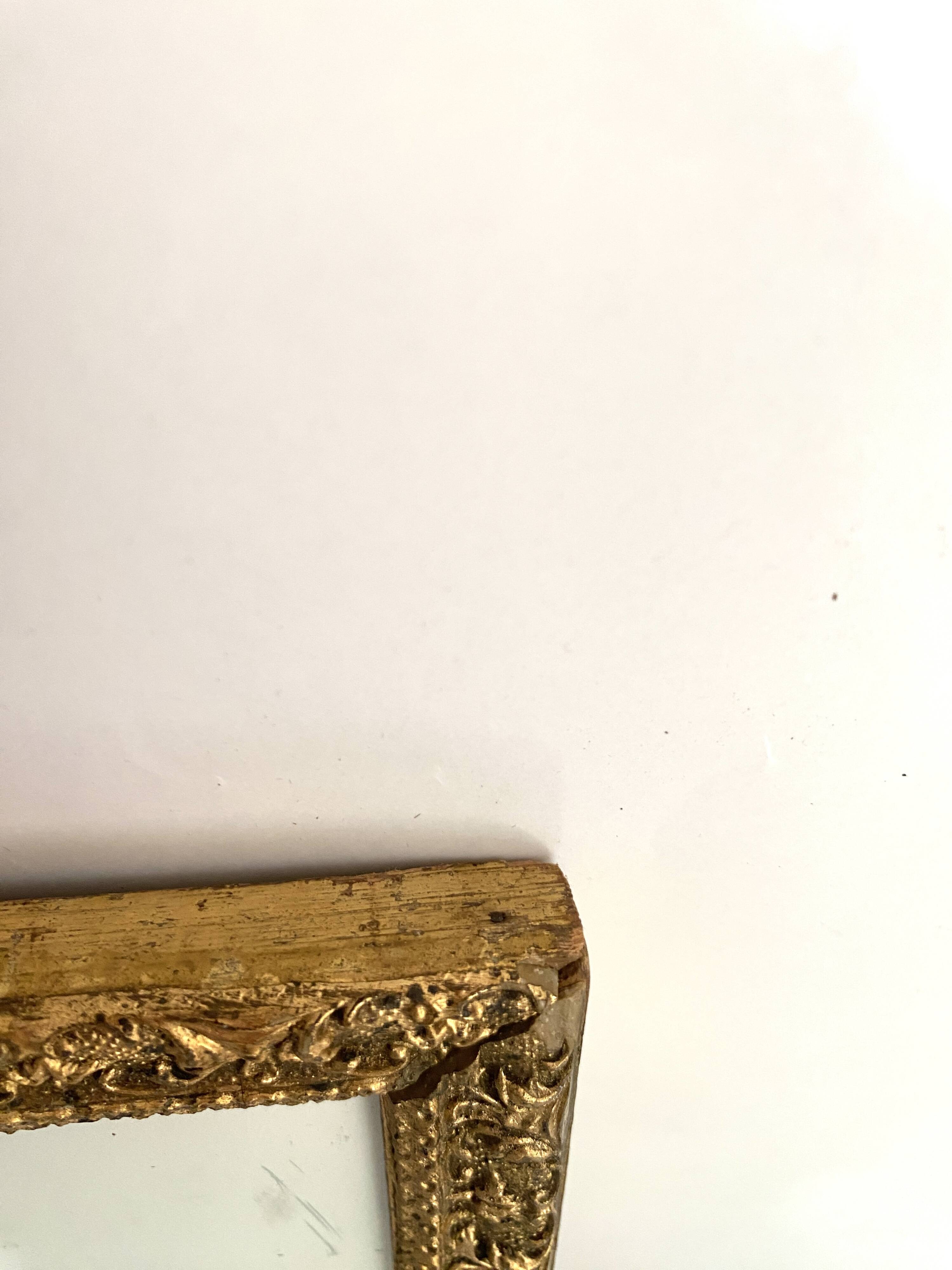 American botanical plate under glass