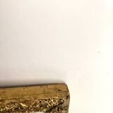 American botanical plate under glass