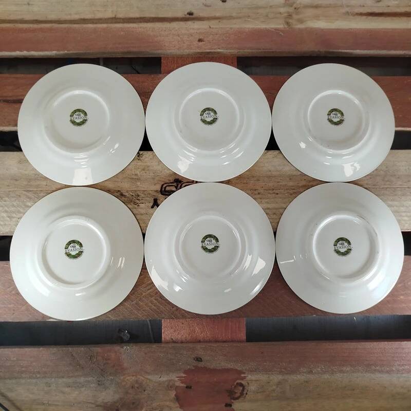 Set of 6 Gien Évasion flat plates with vintage floral foliage design.