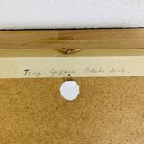 Framed taxidermy butterfly Attacus Atlas, vintage