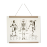 Affiche anatomique représentant le corps de l'homme et son squelette