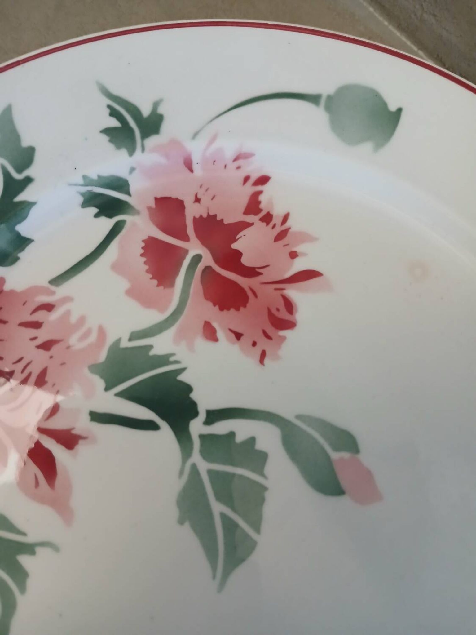 12 assiettes plates anciennes + soupière HBCM