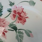 12 assiettes plates anciennes + soupière HBCM