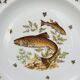 Set 12 plates porcelain gold fine fish fern limousine de Chastagner