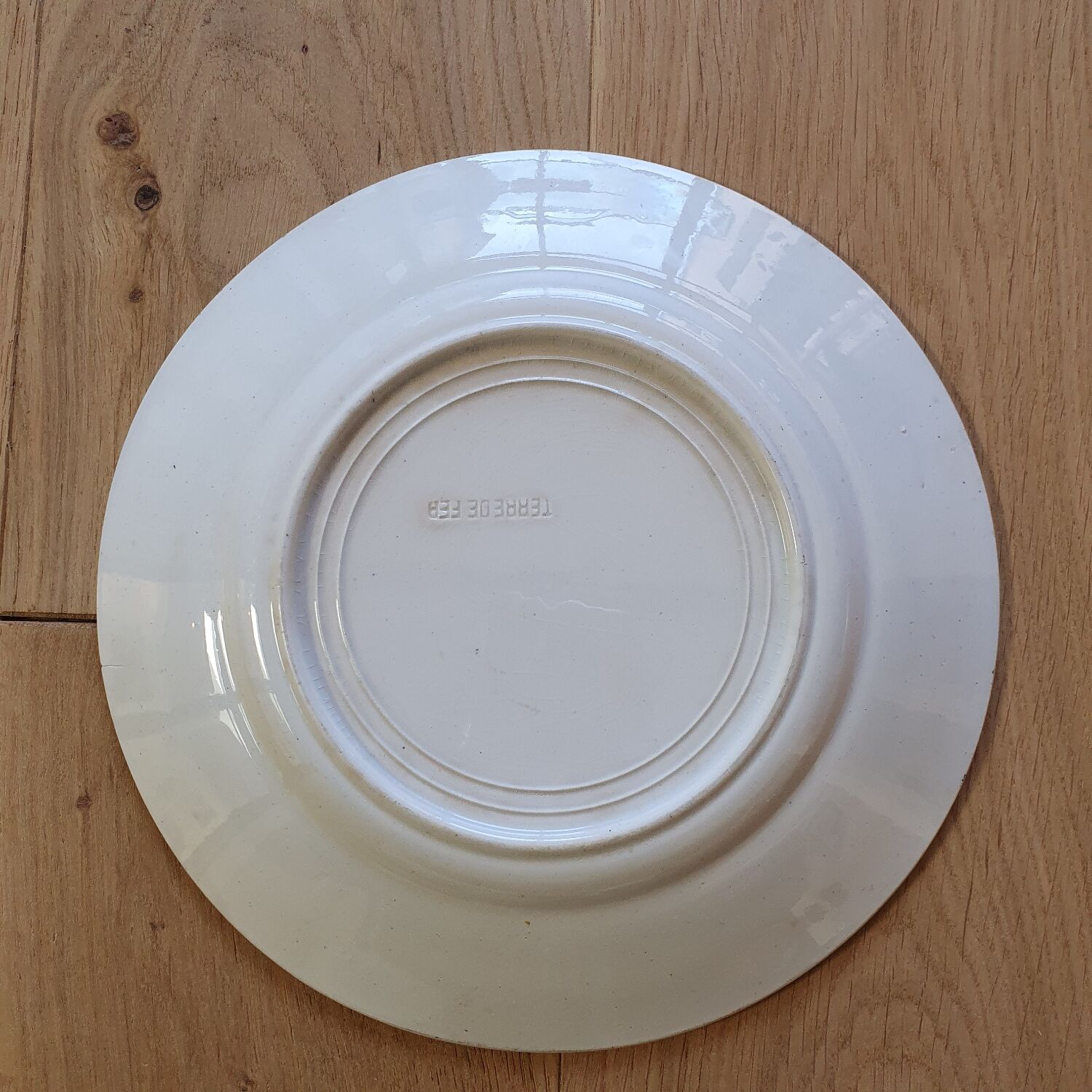Anemone Iron Earth Plate