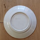 Anemone Iron Earth Plate