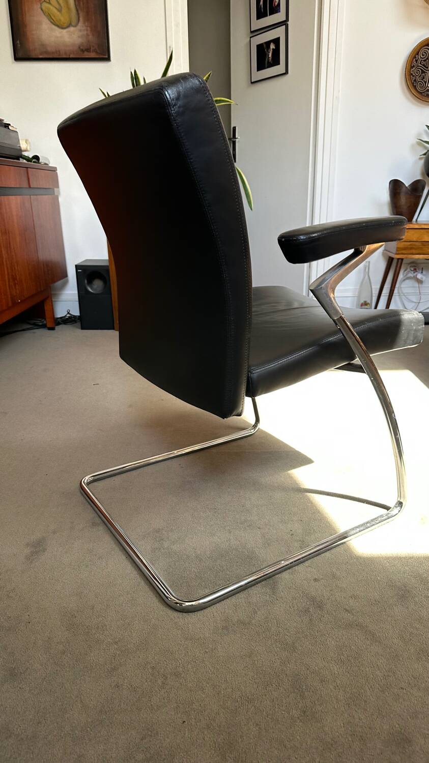 Walter Knoll Dining Chair - armchair / Leather and chrome chair