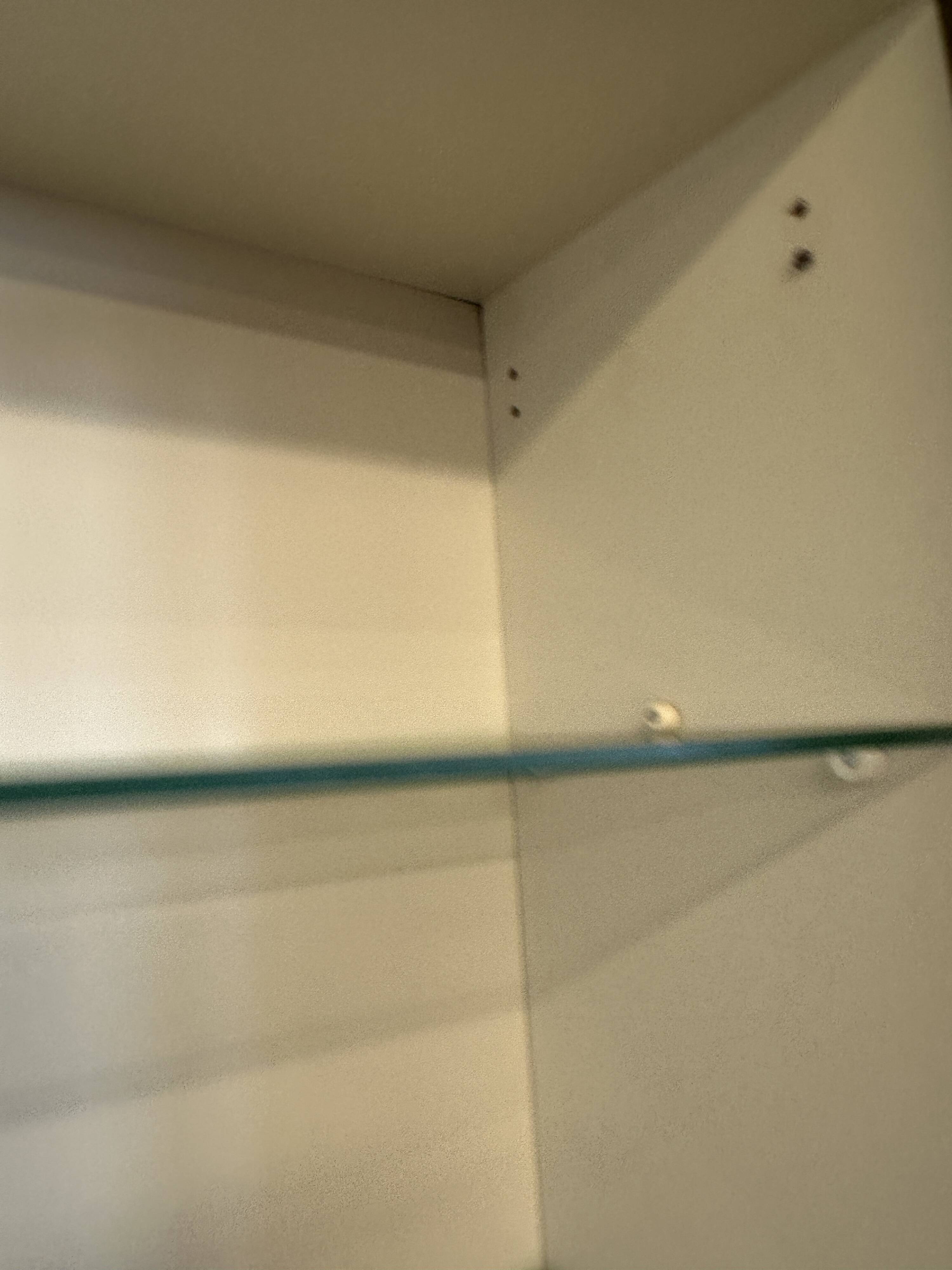 Bookcase DDR Omnia 1960 vintage