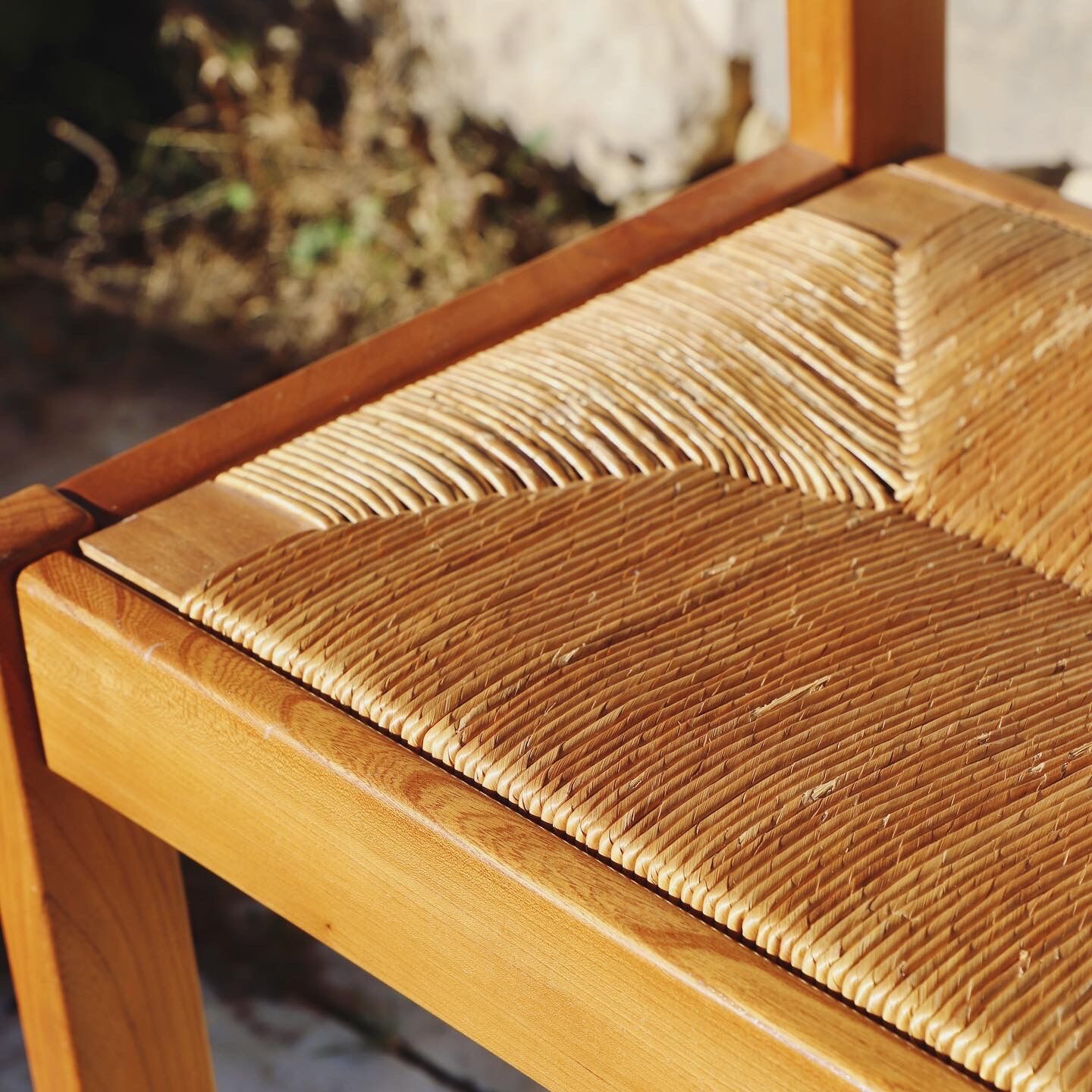 Paire de chaises maison Regain en orme