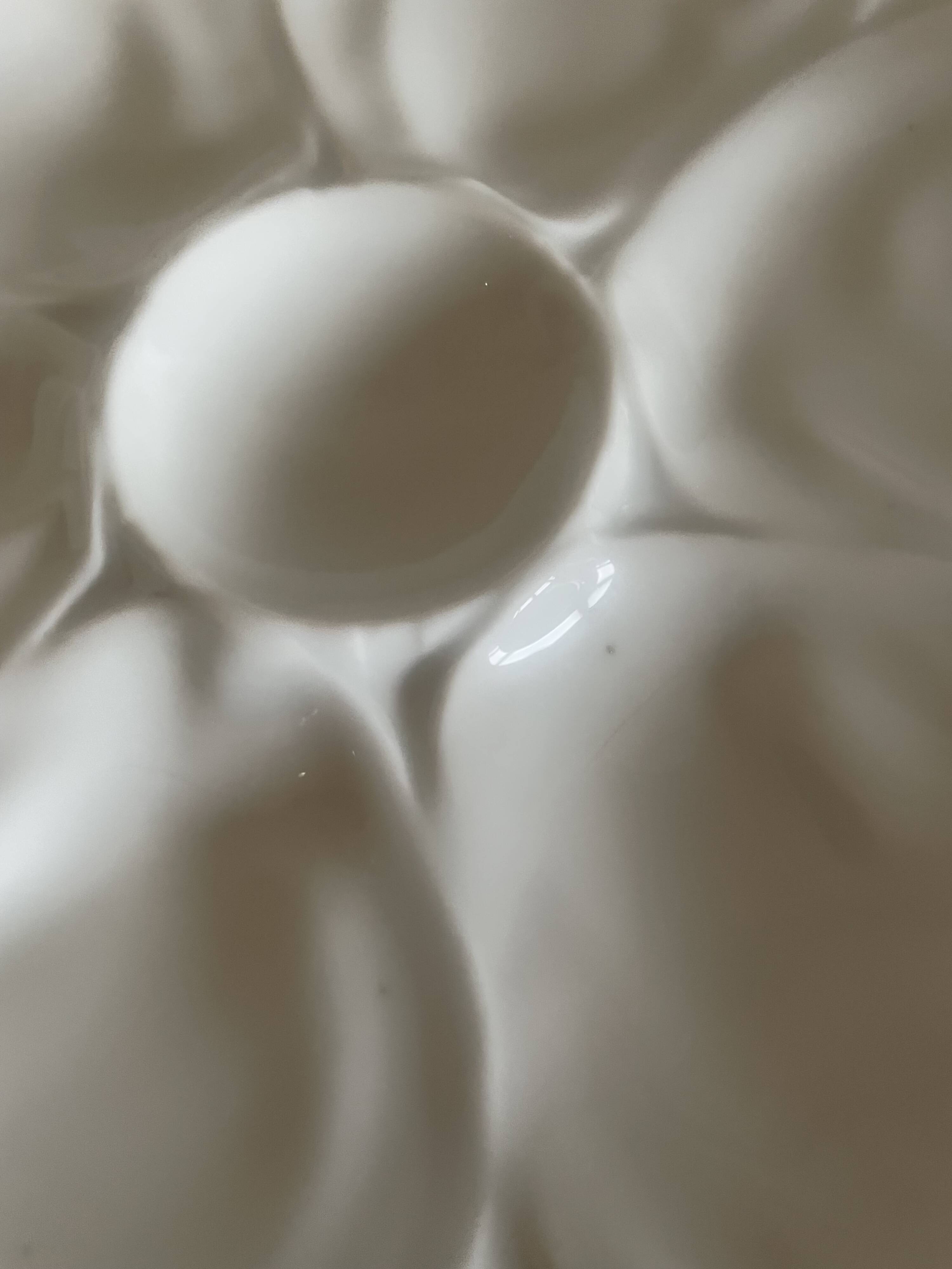 6 Pillivuyt oyster plates
