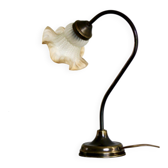 Delmas gooseneck lamp in brass with tulip globe