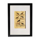 Original ornithological plate " Petrel ash - Checkerboard - Shearwater -&c... " Buffon (1837)