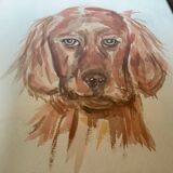 Aquarelle de chien setter