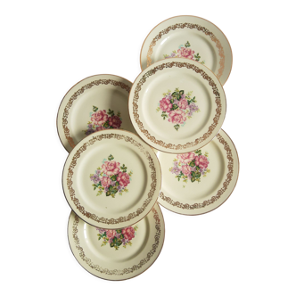 Assiettes plates fleurs porcelaine Limoges France vintage