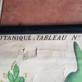 Ancienne affiche Deyrolle - le blé