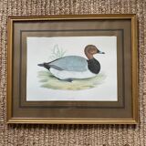 Set of two english engravings
