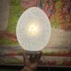 Egg lamp