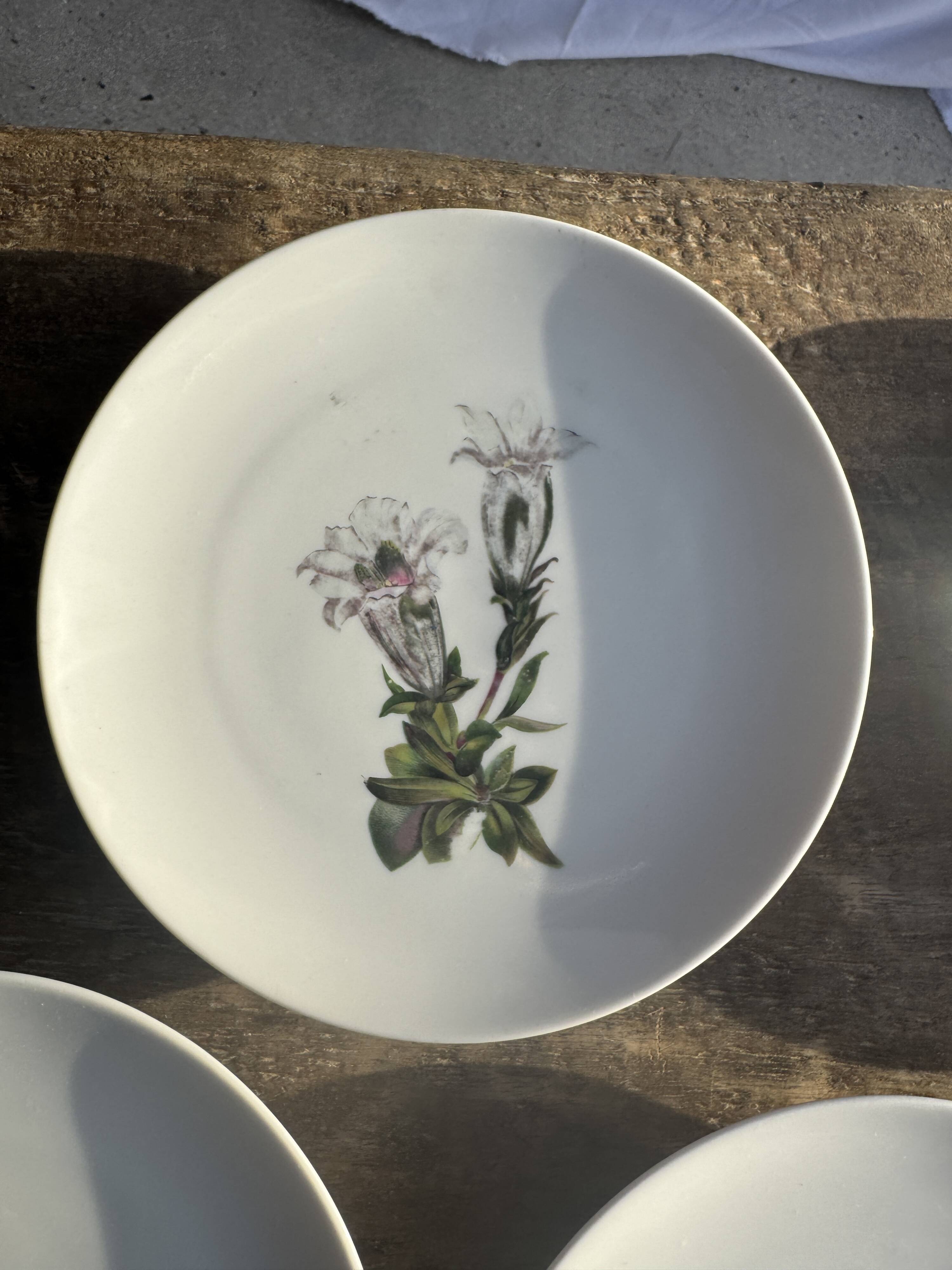 Set of 5 dessert plates with flower patterns Germany Bavaria D19