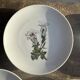 Set of 5 dessert plates with flower patterns Germany Bavaria D19