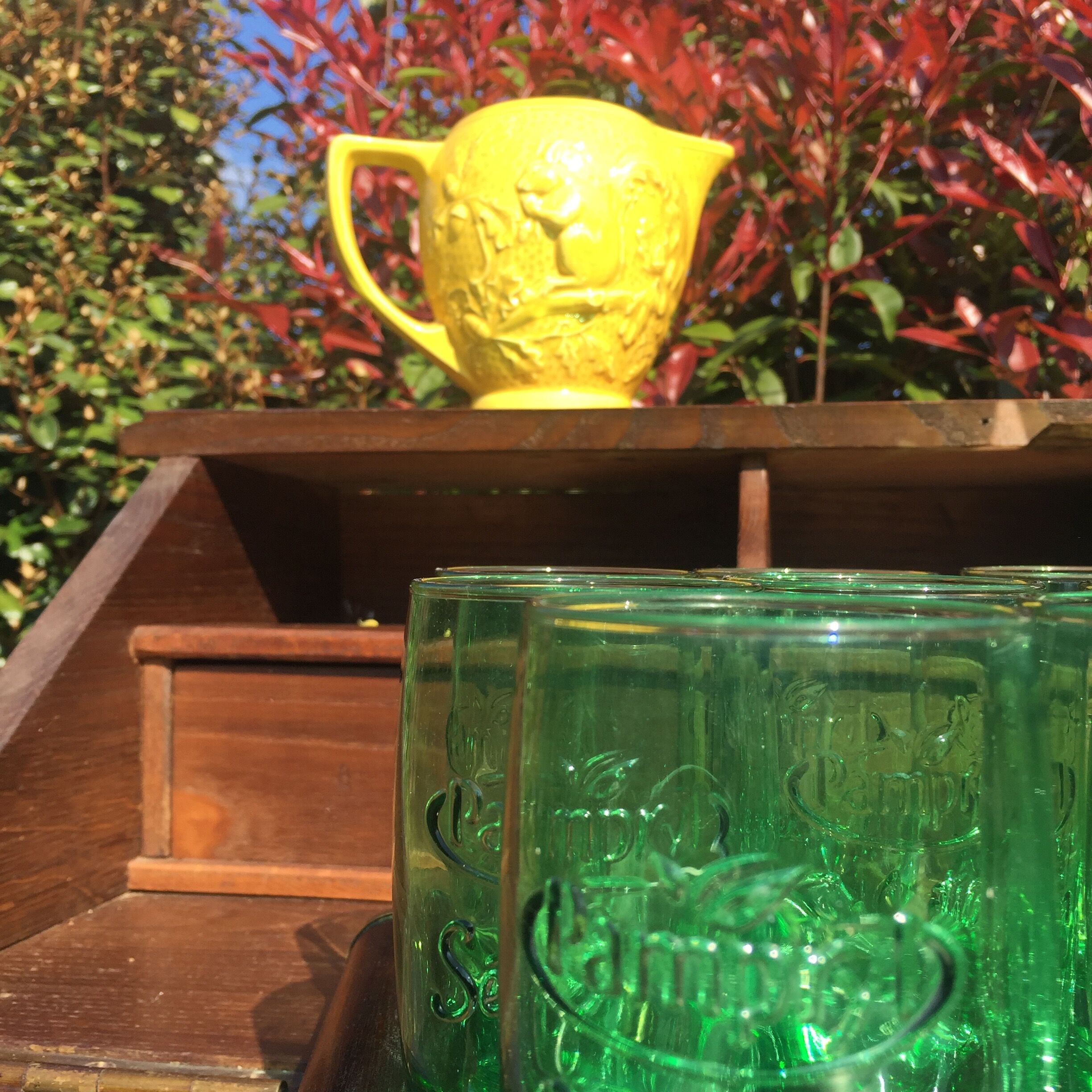 Yellow squirrel pitcher