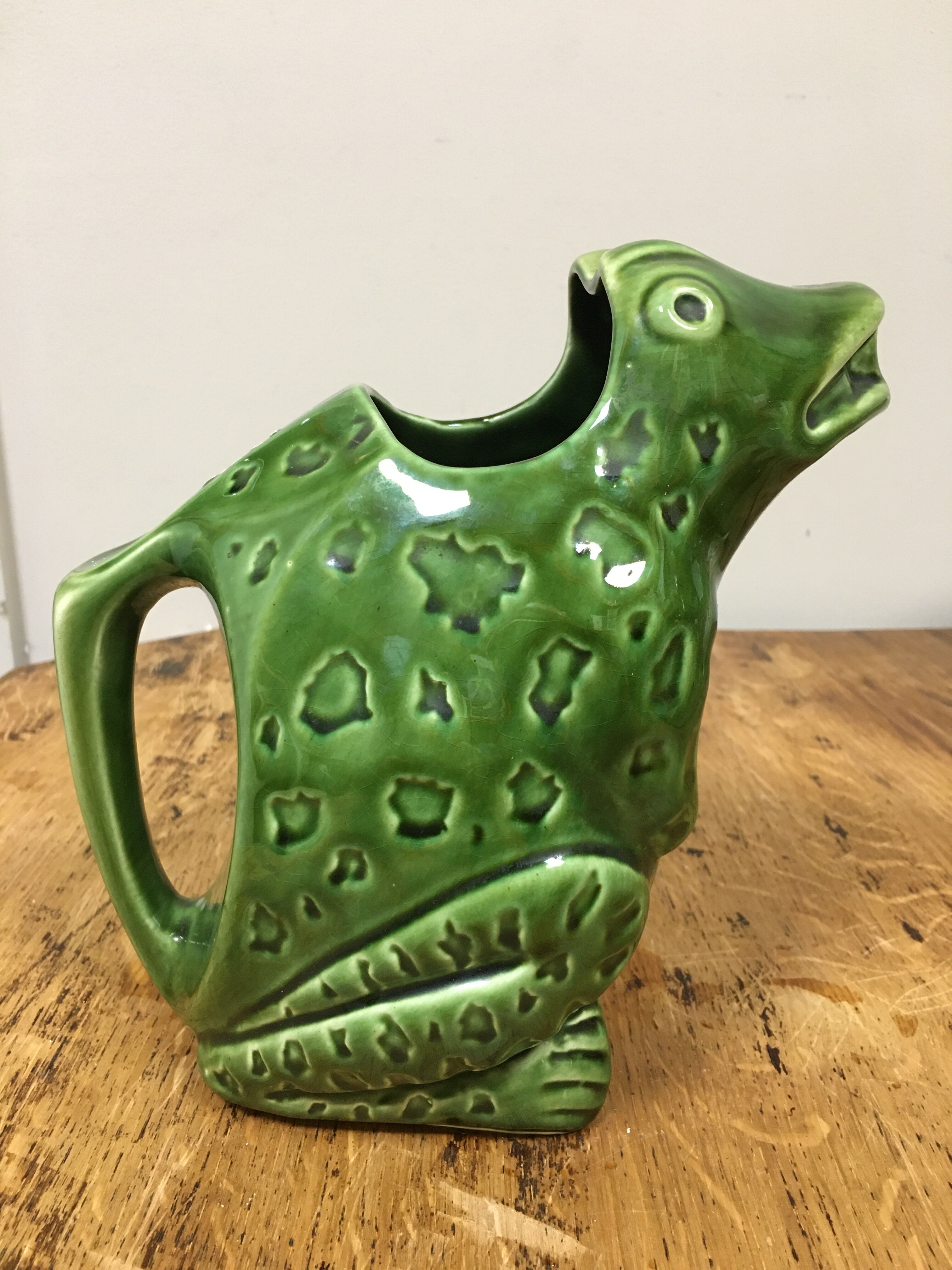 Pitcher frog the heir guyot