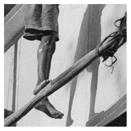 Young Indian perched on a scaffolding