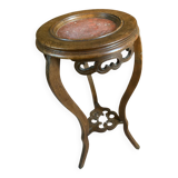 Scelette