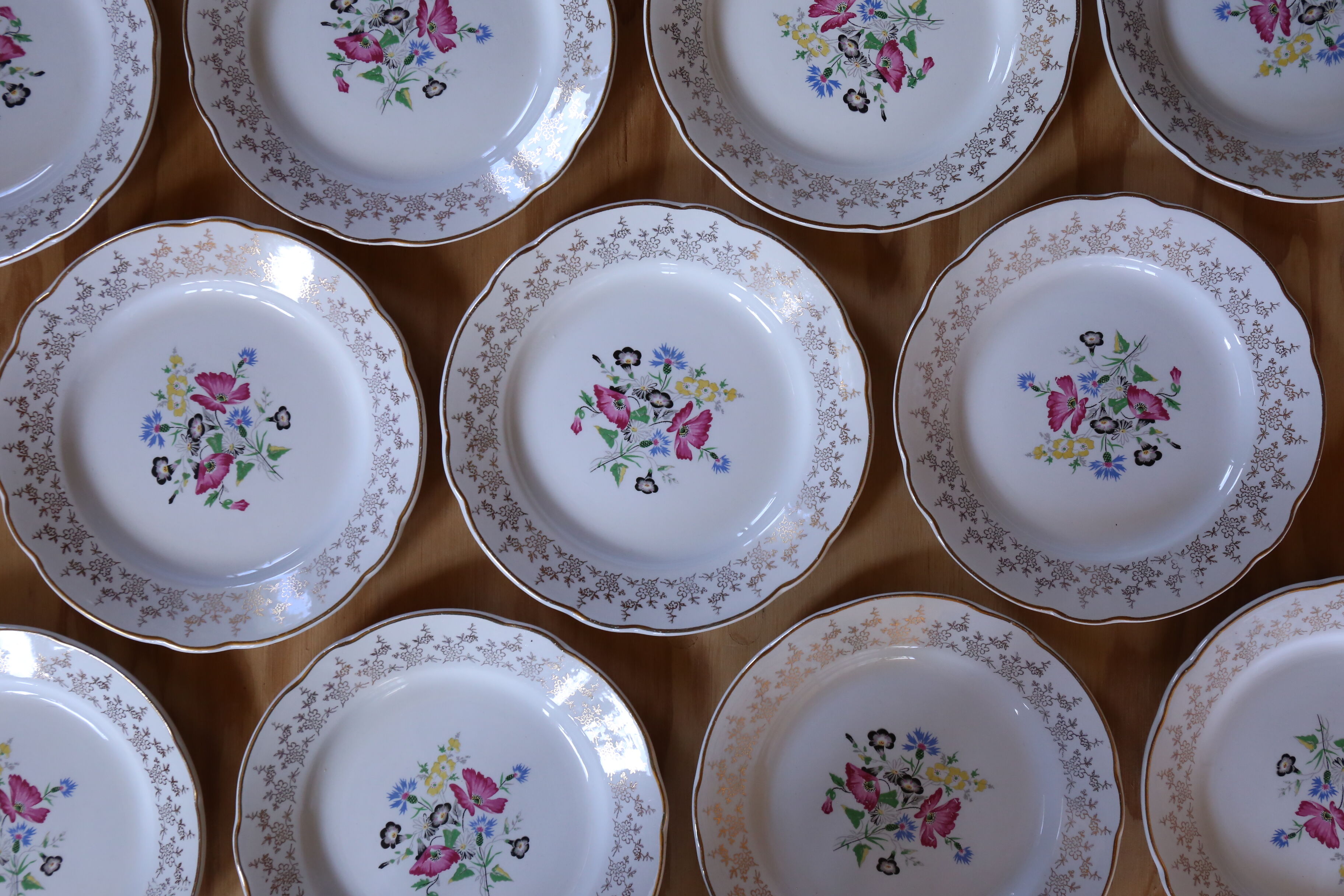 Service of 10 plates Digoin & Sarreguemine