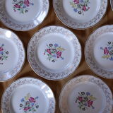 Service of 10 plates Digoin & Sarreguemine