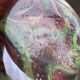 Vintage La Rochère Vase - Coloured Marbled Glass - Signed