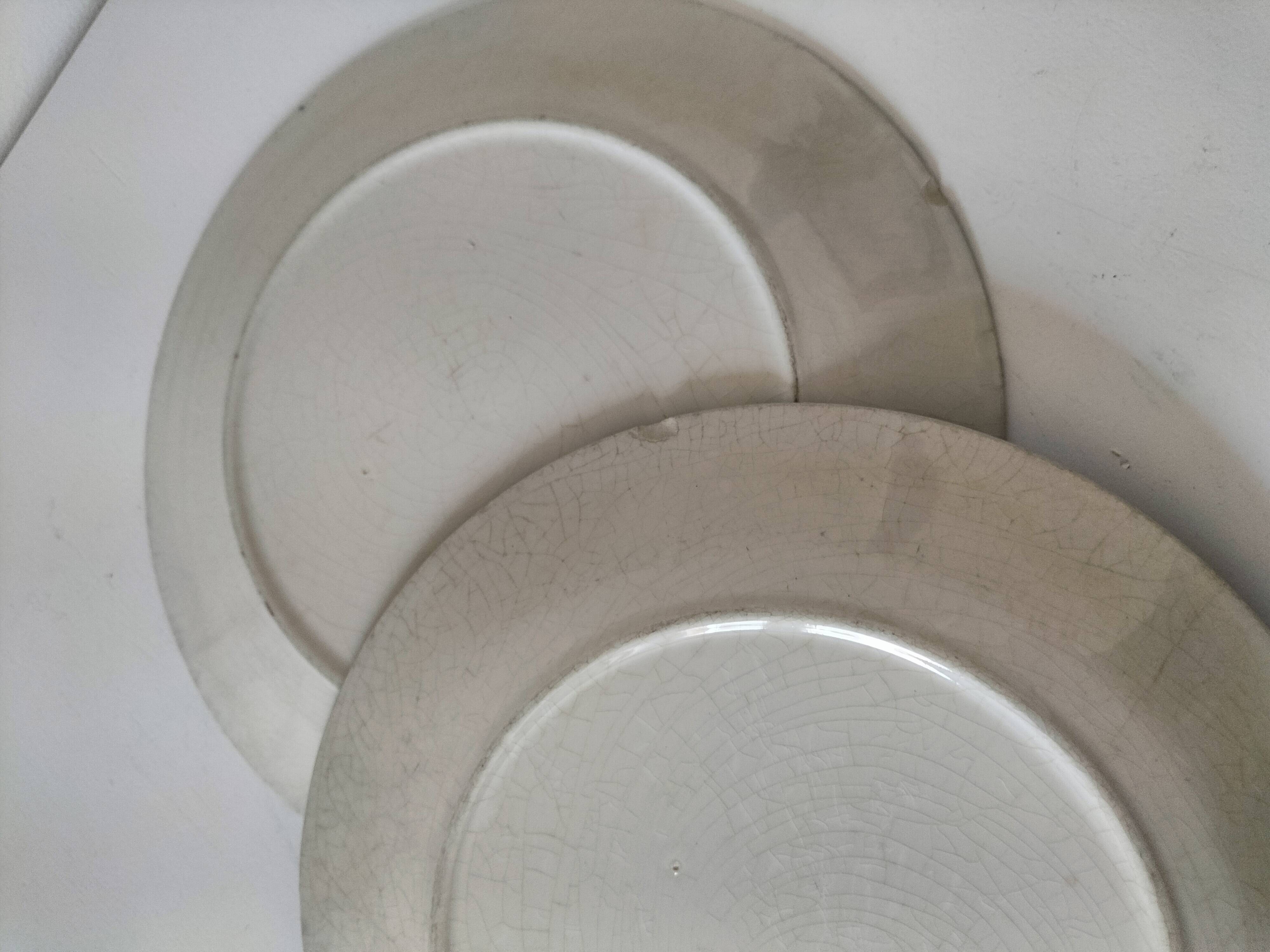 Two flat plates in earthenware with blue floral decoration.