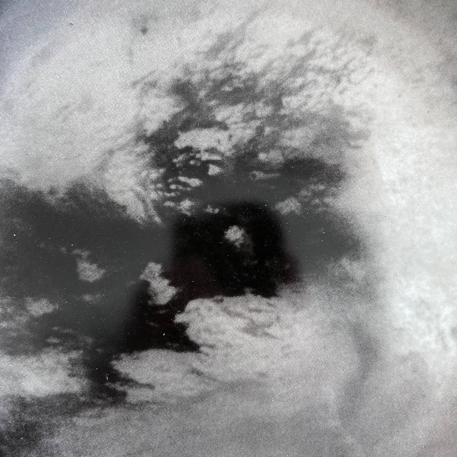 Diesel's Cosmic Dinner Dish