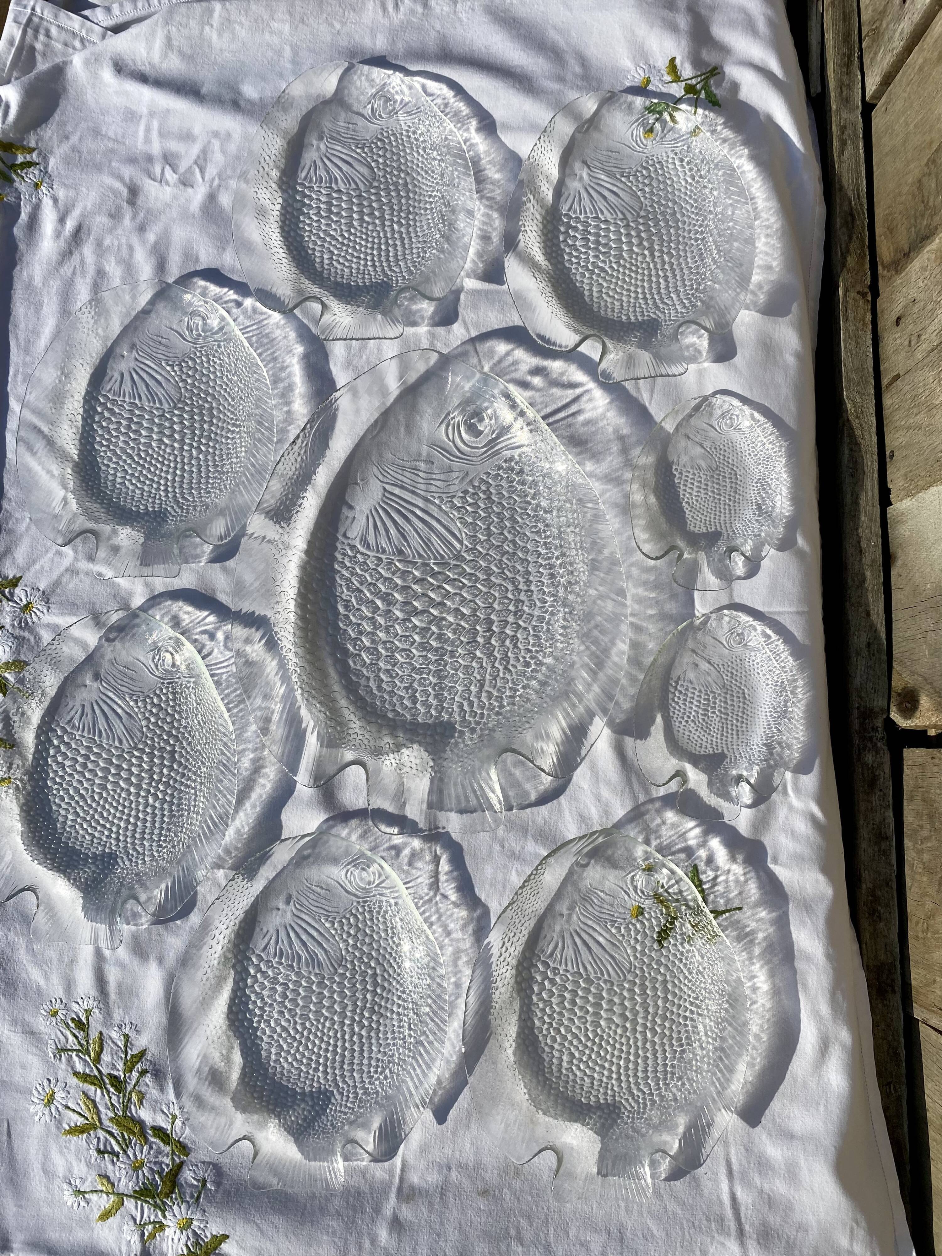 Service assiettes et plat à poisson transparents Arcoroc