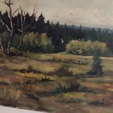 plain landscape