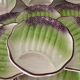 6 asparagus plates