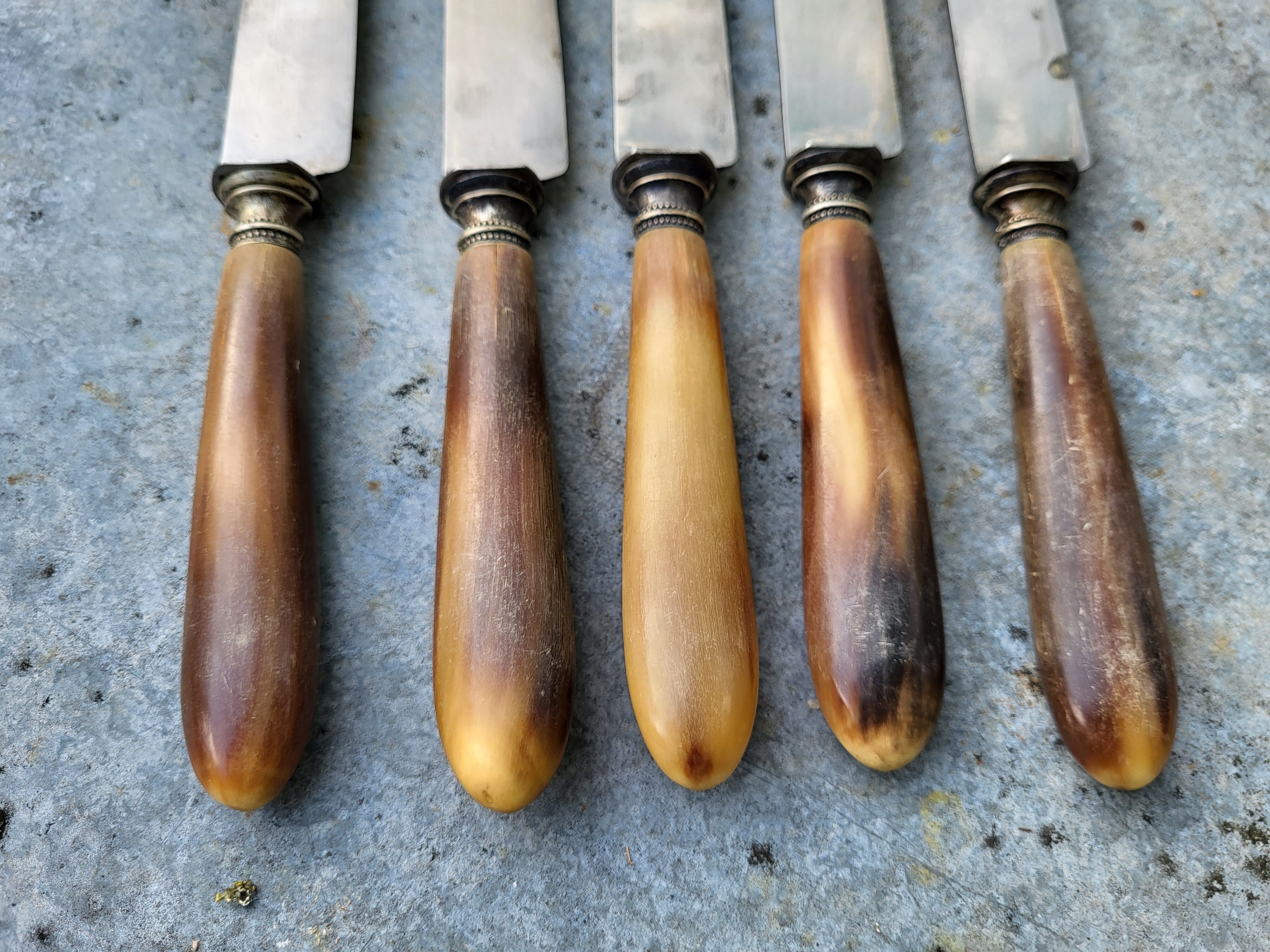Series of 5 knives steel horn handle